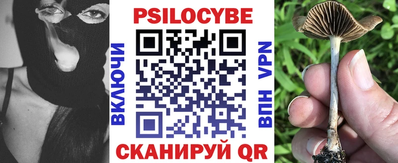 Галлюциногенные грибы Psilocybe Мензелинск